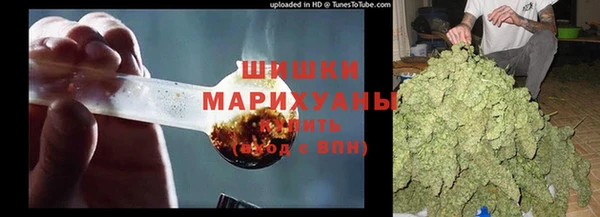гидра Балахна