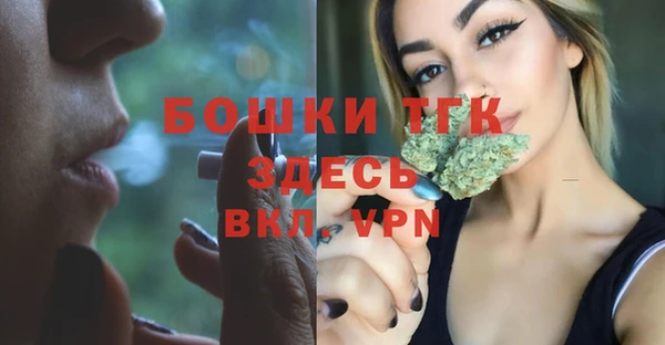 гидра Балахна