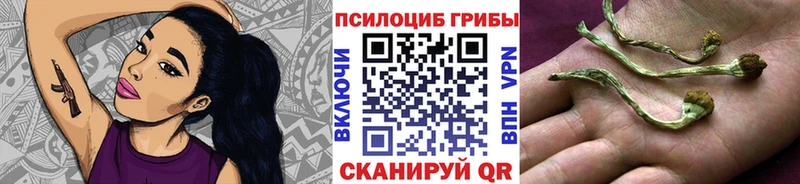 Купить закладки Горячий Ключ Галлюциногенные грибы Cubensis