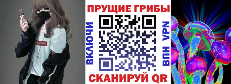 Галлюциногенные грибы мицелий Горячий Ключ